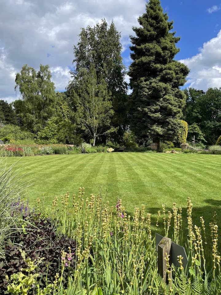 Great Comp Garden